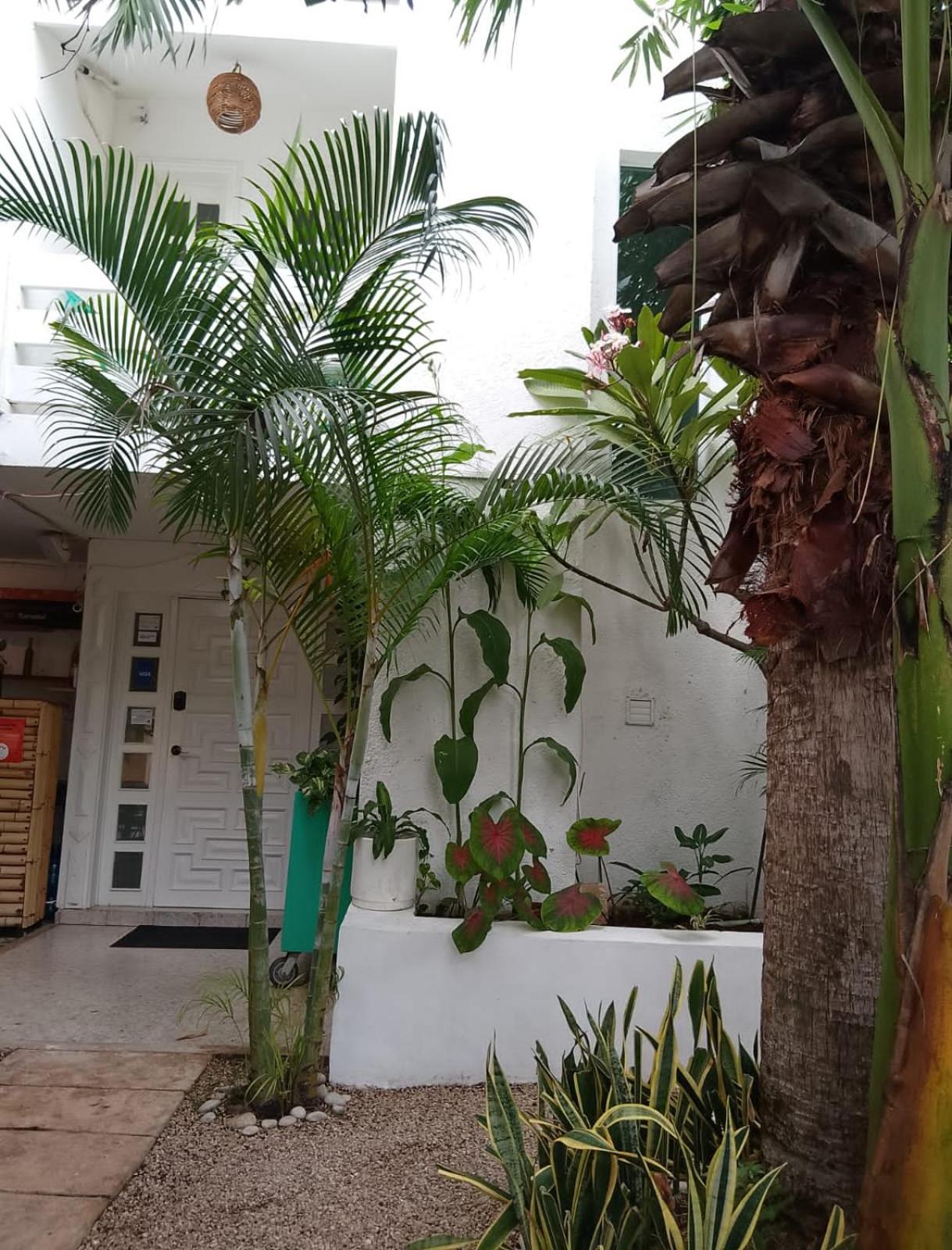 Hotel Downtown Merida Exterior photo